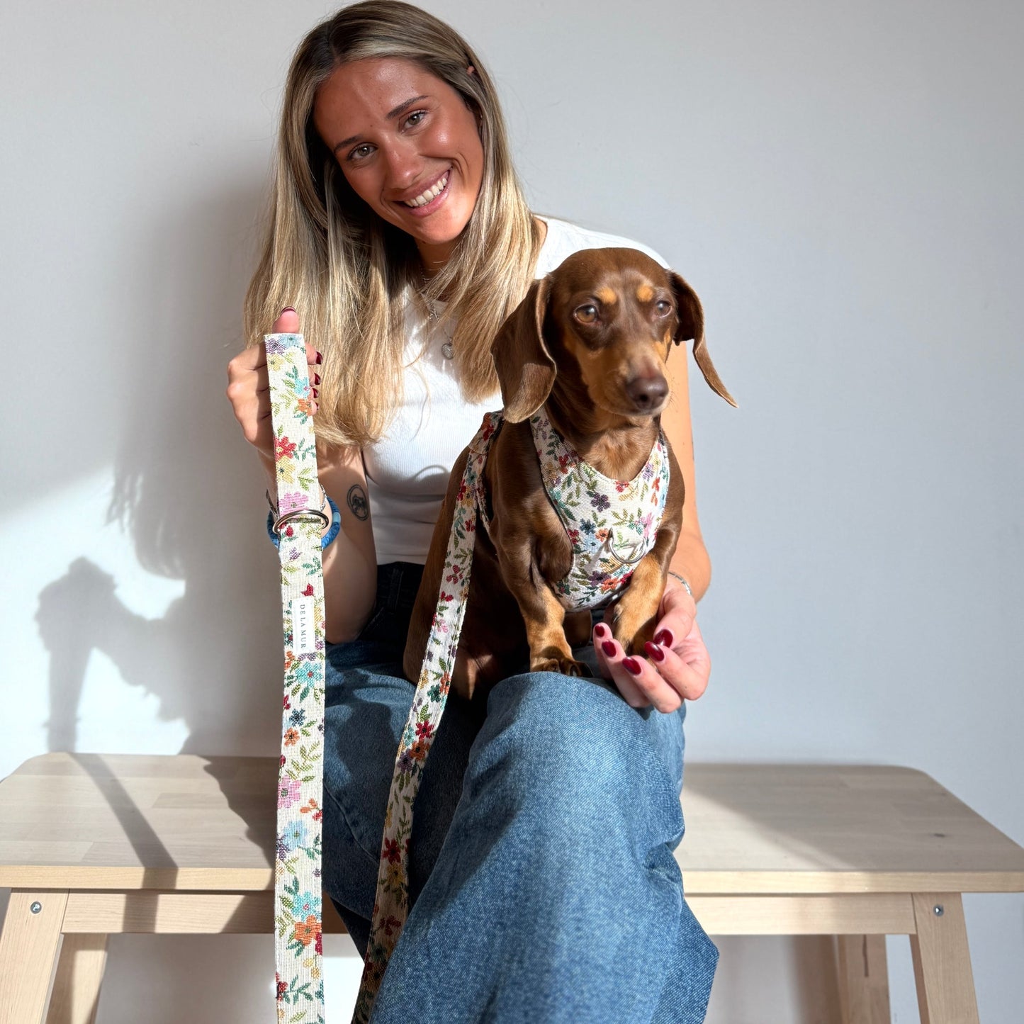 Hundegeschirr und Leine Set BLUM