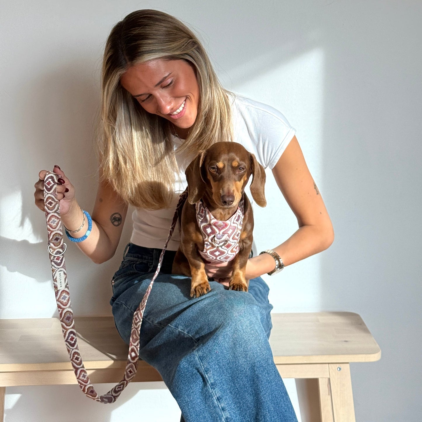 Hundegeschirr- und Leinen-Set ONDA