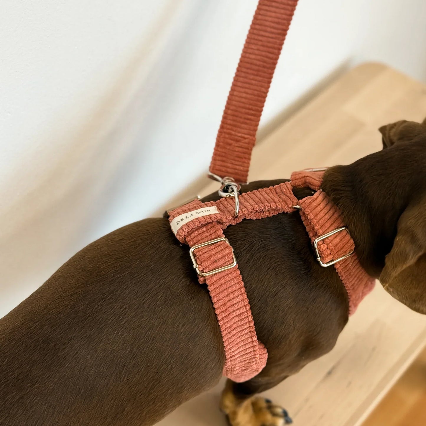 Hundegeschirr und Leine Set Ripp CORAL