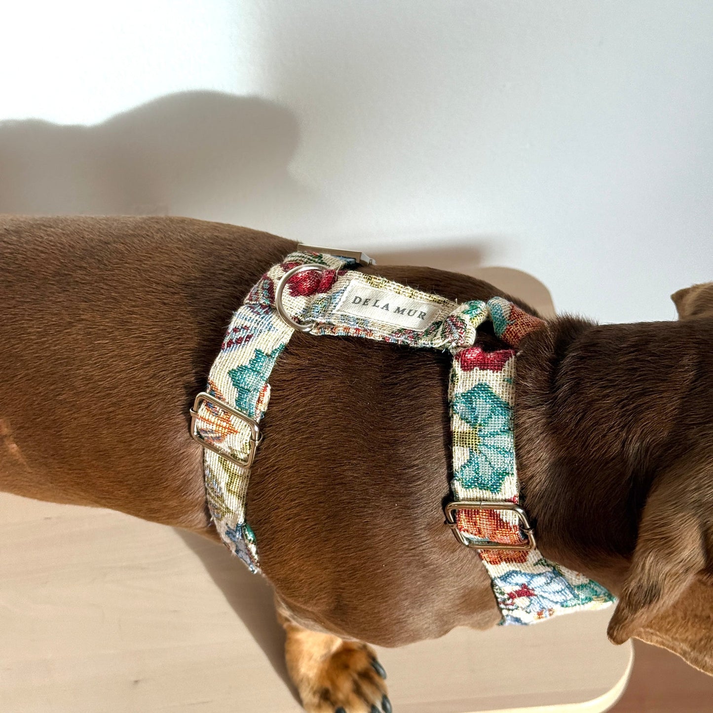 Hundegeschirr und Leine Set FLORA