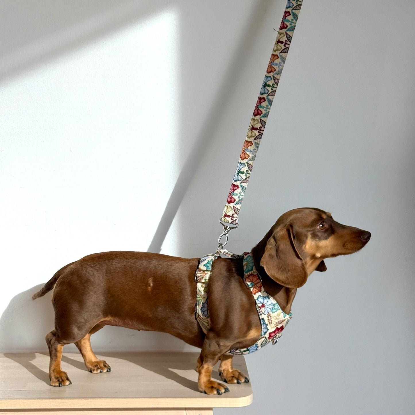 Hundegeschirr und Leine Set FLORA