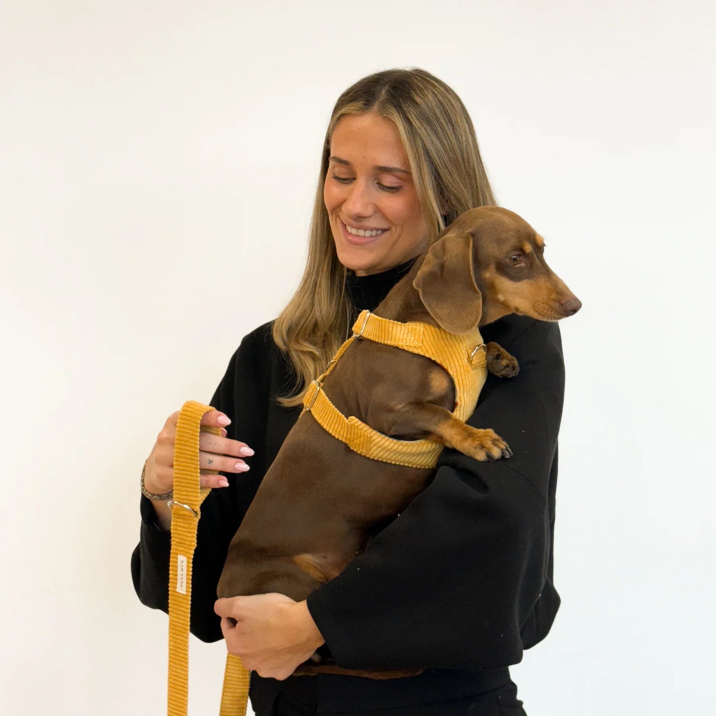 Hundegeschirr und Leine Set Ripp TAZ